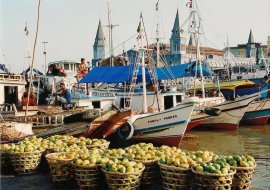 Conheça Belém em 2022: melhores dicas de turismo