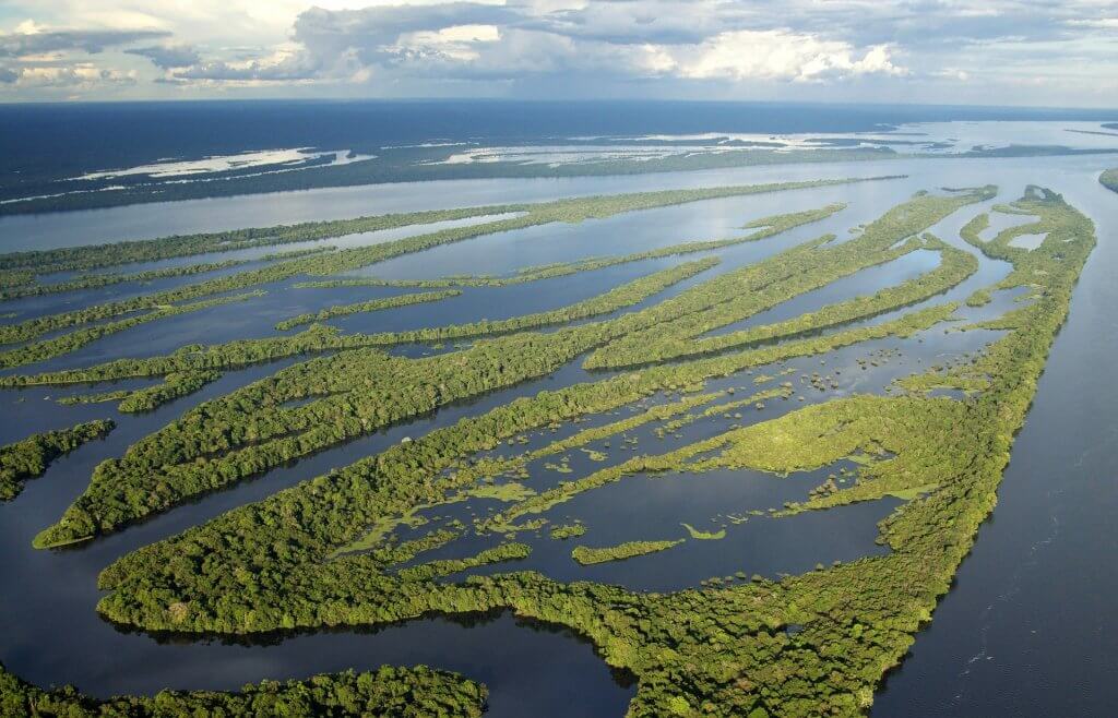 imagem do Rio Negro, rio que banha o Parque Nacional de Anavilhanas