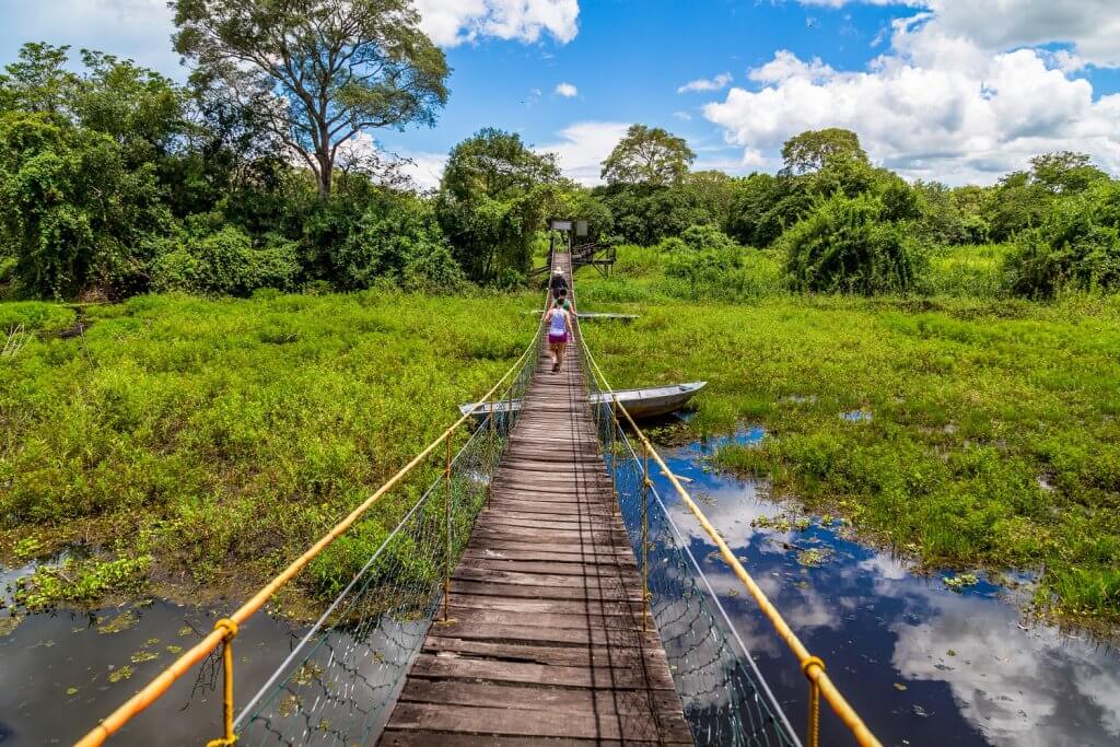 Pantanal, Brasil