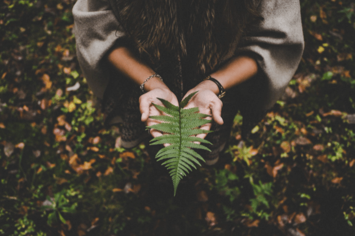 mulher agachada em floresta com folha nas mãos