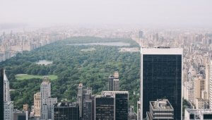 imagem vista de cima da árrea verde do central park em meio aos prédios