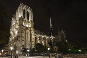 imagem da catedral de notre dame iluminada durante a noite
