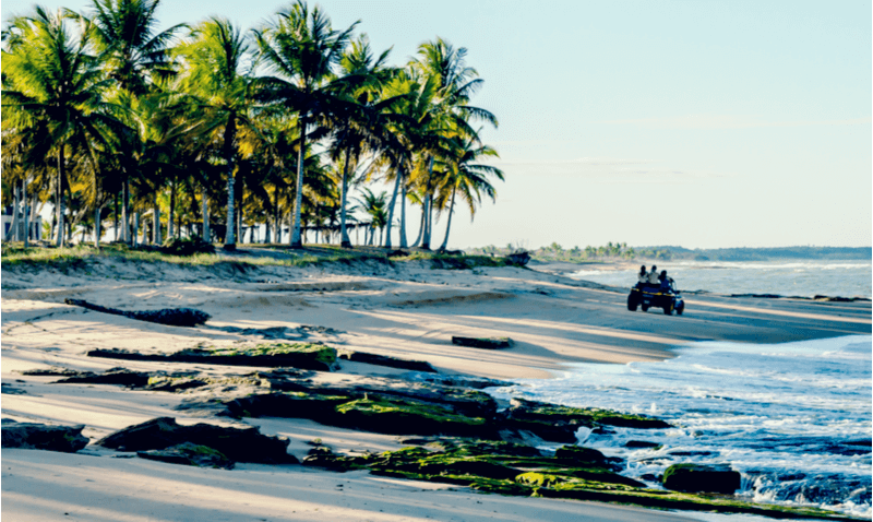Passeio de buggy na praia é experiência, indo além de um passeio de pacote de viagem tradicional. De um lado o mar, do outro muitos coqueiros.