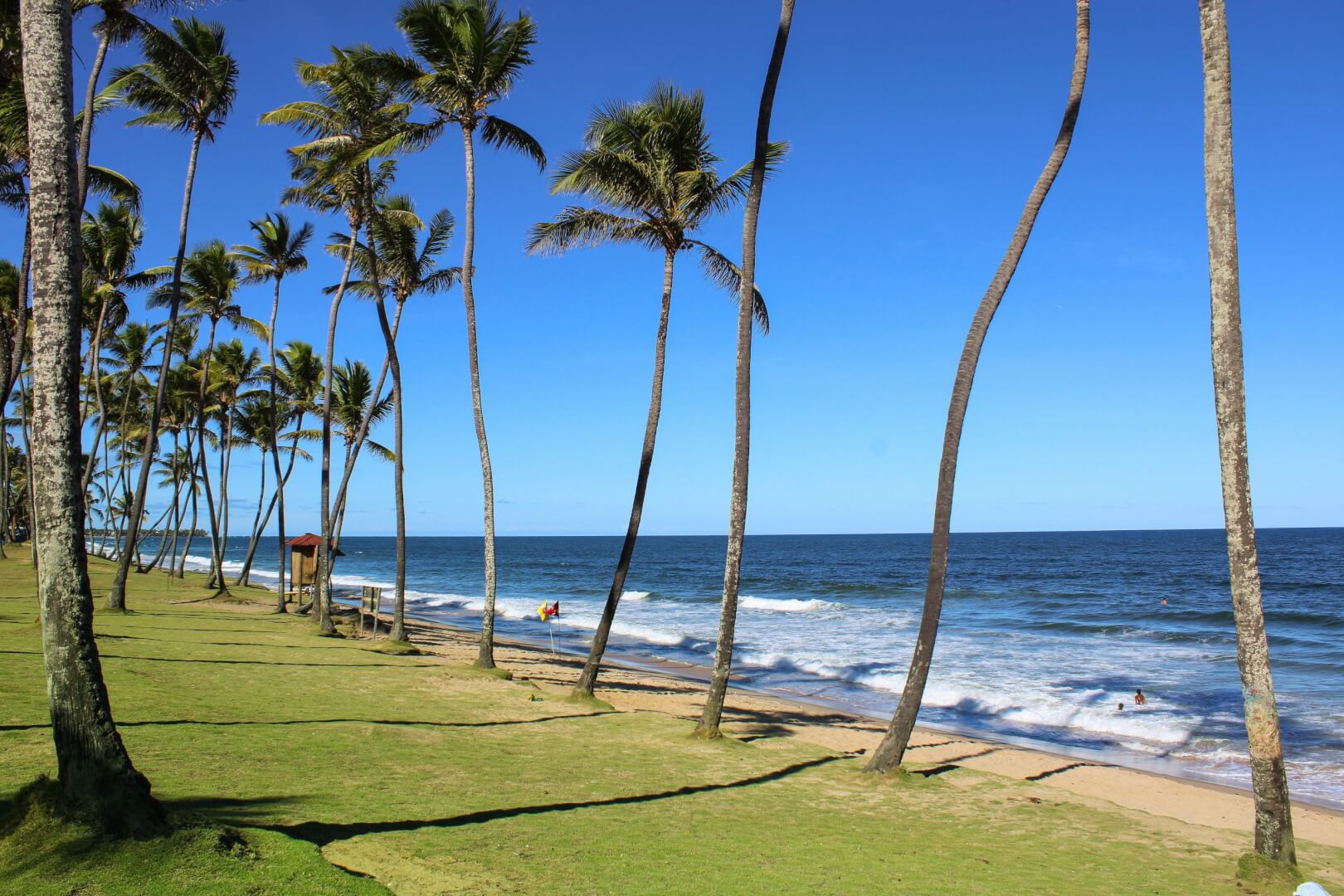 Vista da praia Lauro de Freitas, com várias palmeiras em um gramado que leva à areia